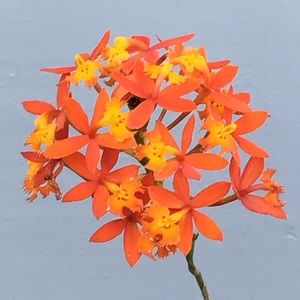 New listings! New lower prices!